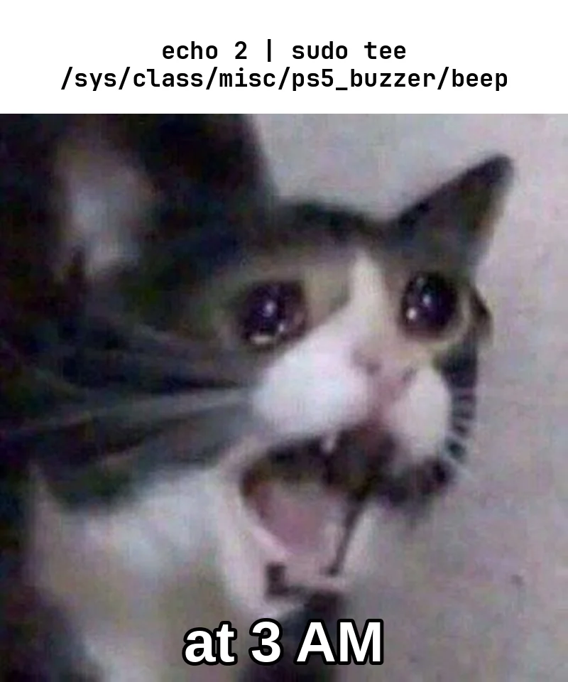 Screaming cat