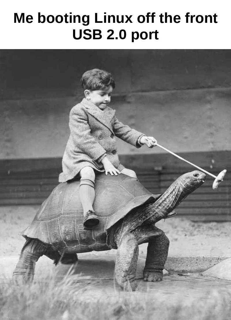 Boy riding a tortoise